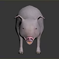 Detailed 3D Model Pink Pig Standing On Smooth Surface With Gray Background