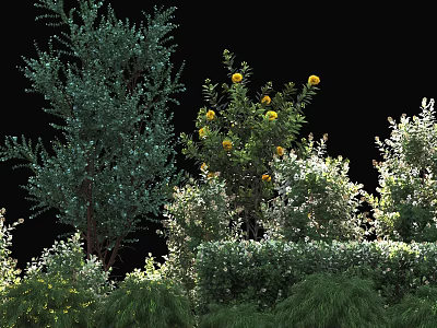 Lush Garden Plants Featuring Tree With Yellow Flowers And Green Shrubs 3d model