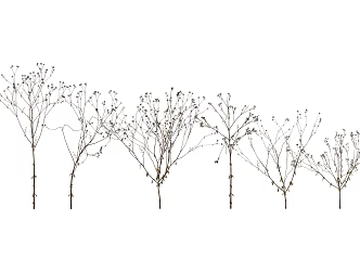 modern grass withered grass 3d model