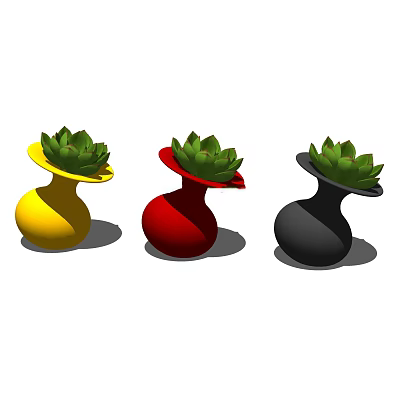 Modern succulents 3d model