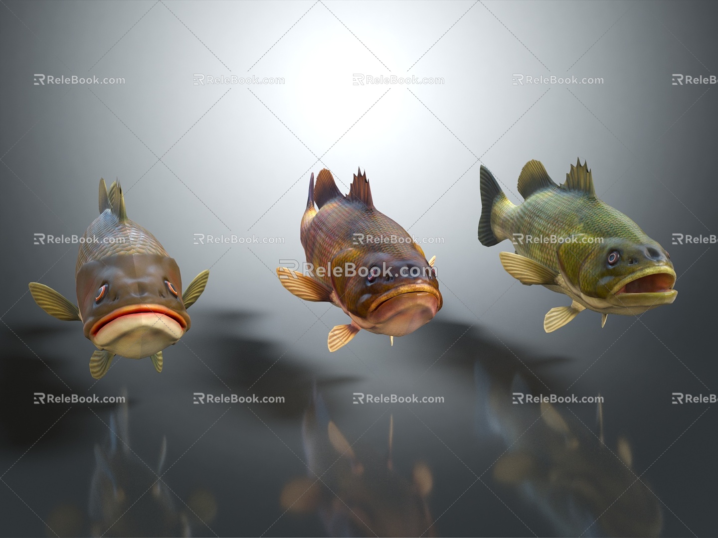 Modern Fish Fish Specimen Catfish 3d model