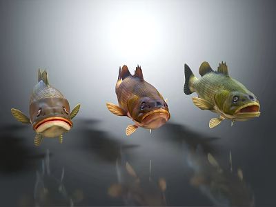 Three Vibrant Aquatic Fish With Colorful Scales Swimming In Underwater Light Scene 3d model