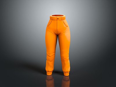 Trousers Men's Trousers Women's Trousers Men's Trousers Women's Trousers Men's Trousers Women's Trousers Pants 3d model