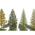 Various Colored Arbor Trees with Yellow Green and Snow Covered Foliage on Grass