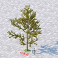 Ginkgo Arbor With Lush Green Foliage Casting Shadow On Gray Paved Ground 3d model