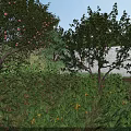 Lush Garden Landscape With Diverse Trees Shrubs And Vibrant Green Plants