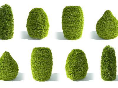 Neatly Trimmed Various Shaped Lush Green Shrubs for Outdoor Garden Landscaping 3d model