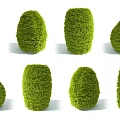 Neatly Trimmed Various Shaped Lush Green Shrubs for Outdoor Garden Landscaping