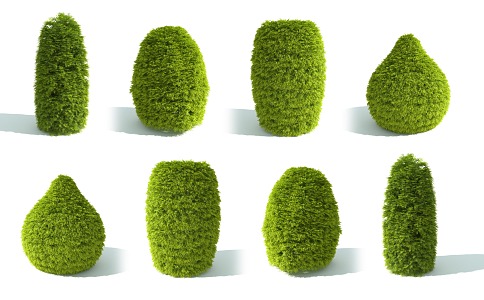 Garden shrub hedge plant hedge plant fence North American cedar shrub ball cypress shrub hedge plant artificial construction shrub green plant 3d model