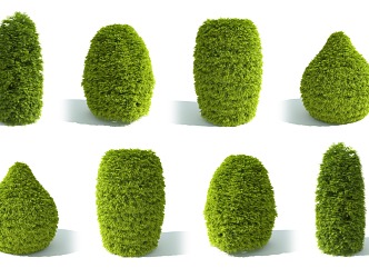 Garden shrub hedge plant hedge plant fence North American cedar shrub ball cypress shrub hedge plant artificial construction shrub green plant 3d model