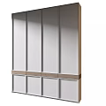 Modern Wardrobe Interior Design With White Panel Doors And Wooden Accent Trim 3d model