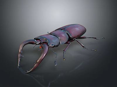 Detailed View Of Stag Beetle With Large Curved Mandibles And Dark Purple Exoskeleton 3d model