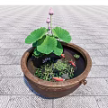 Garden Ornament With Terracotta Pot Lotus Leaves Flowers Goldfish Aquatic Plants On Gray Stone Tiles