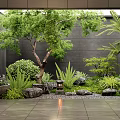 Tranquil Indoor Landscape With Lush Trees Green Plants Rocks Water Basin And Stone Lantern