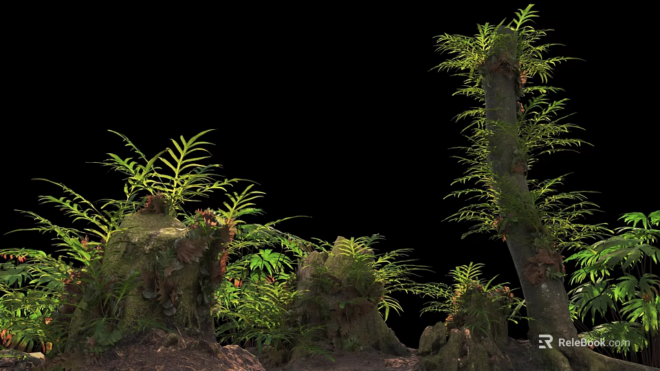 Vibrant Lush Ferns And Moss Covered Tree Stumps Against Black Background 3d model 