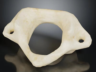 White Irregular Shaped Sculptural Object With Central Circular Hole And Side Openings On Black Surface 3d model
