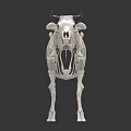 modern skeleton cow skeleton 3d model