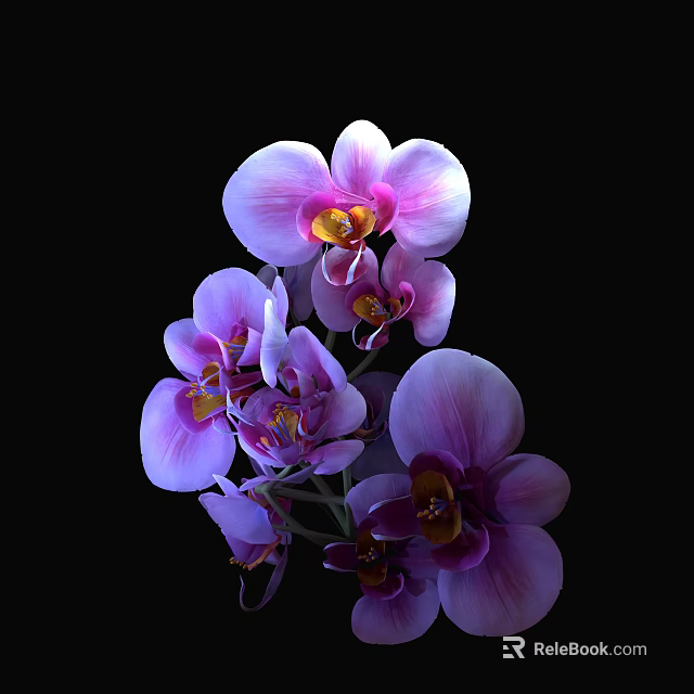 Beautiful Purple And Pink Orchid Flowers In Ceramic Vase On Black Background 3d model 