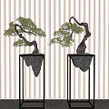 Lush Bonsai Trees with Curved Trunks in Black Sculpted Pots on Metal Stands