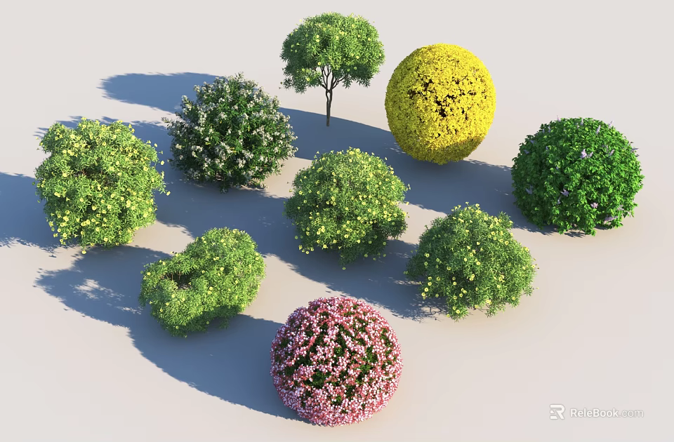 Colorful Garden Shrubs in Various Shapes with Green Yellow and Pink Foliage 3d model 