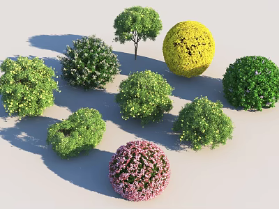 Colorful Garden Shrubs in Various Shapes with Green Yellow and Pink Foliage 3d model