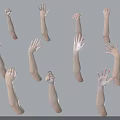 Woman's Multiple Arms And Hands In Various Poses Against Gray Background