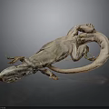 Detailed Brown Lizard Specimen On Black Background With Reflection