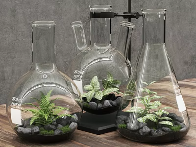 Bonsai Plants in Transparent Glass Vases with Black Stones and Green Ferns on Wooden Table 3d model