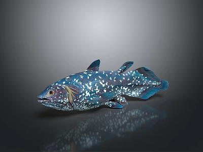 Blue Aquatic Fish with White Spots Multiple Fins and Reflection on Gray Surface 3d model
