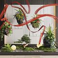 Creative Indoor Landscape With Hanging Planters Red Ribbons Potted Plants And Mossy Stones