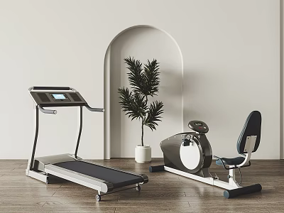 Home Gym Sports Equipment Treadmill Exercise Bike With Green Plant Wooden Floor Arched Doorway 3d model