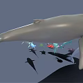 Various Marine Animals Collection With Whale Dolphin Shark Jellyfish Octopus And Small Fish