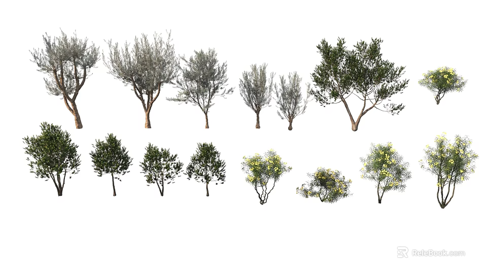 Various Types of Arbor Trees with Different Foliage and Branching Structures for Landscape Design 3d model 
