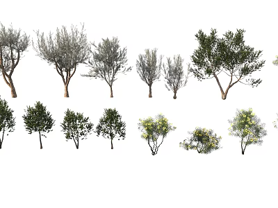 Various Types of Arbor Trees with Different Foliage and Branching Structures for Landscape Design 3d model