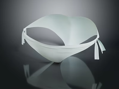 White Minimalist Design Bra With Adjustable Lace Up Straps For Comfortable Wear 3d model