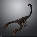 3D Rendered Brown Scorpion with Red Pincers and Curved Tail on Dark Background