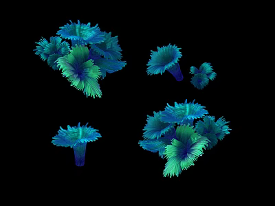 Vibrant Blue and Green Aquatic Animals Fan Shaped Clustered on Black Background 3d model