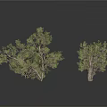 Natural Green Bushes And Small Trees On White Background With Various Sizes And Shapes