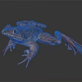Brown Spotted Frog with Large Blue Eyes and Webbed Feet on Black Reflective Surface