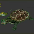Turtle With Vibrant Patterned Shell Extended Head Open Mouth And Small Insect On Dark Surface