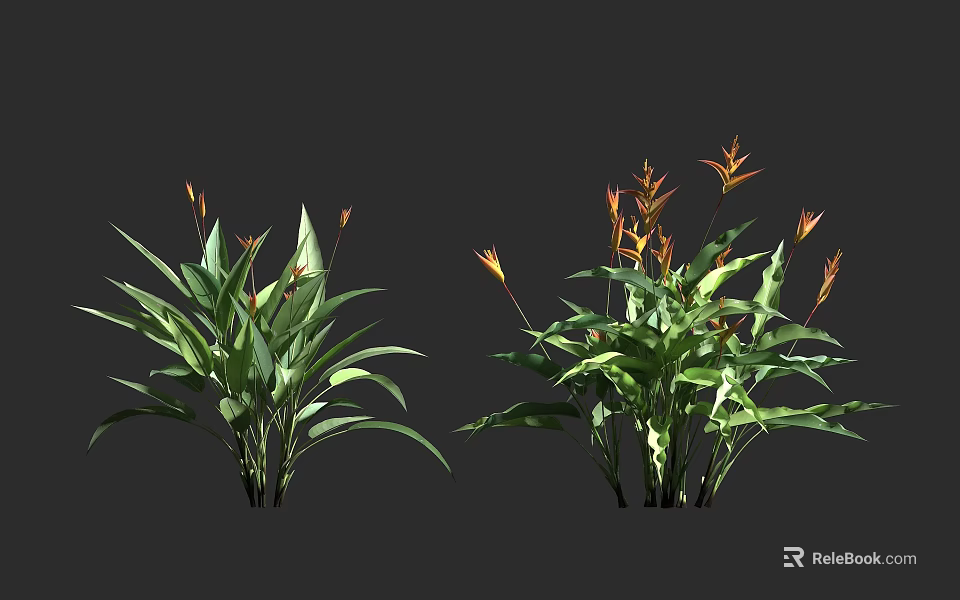 Lush Tropical Plants With Green Leaves And Vibrant Orange Blooms 3d model 