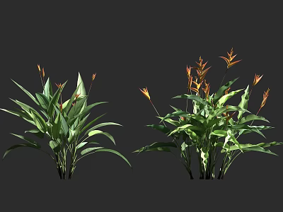 Lush Tropical Plants With Green Leaves And Vibrant Orange Blooms 3d model