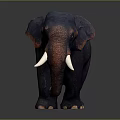 Realistic Black Elephant With Red Ears Trunk And White Tusks Standing Against Dark Background