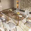 Luxurious Dining Table Set With Glass Top And Gold Frame Matching Patterned Chairs