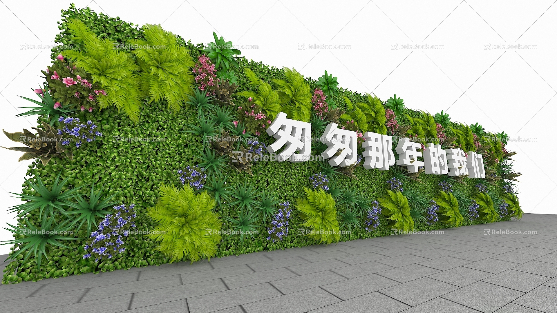 green plant green plant potted flower tree bonsai potted plant flowers flower pot green plant wall shrub tree tree grass flower agent model