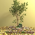 Green Tree with Fallen Leaves and Small Sculpture in Outdoor Setting