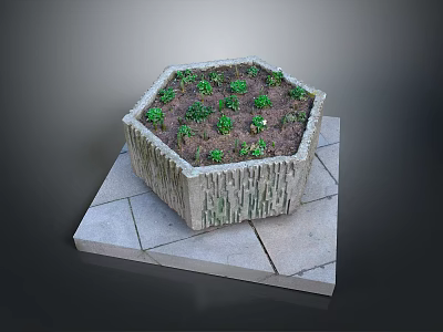 Green Plants Thriving in Hexagonal Stone Planter on Stone Slab Base 3d model