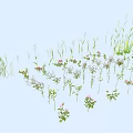 Different Kinds of Flowers and Plants Showcase With Green Foliage And Colorful Blooms