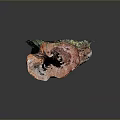 Natural Wood And Stone Stump Decorative Piece With Colorful Textured Sections