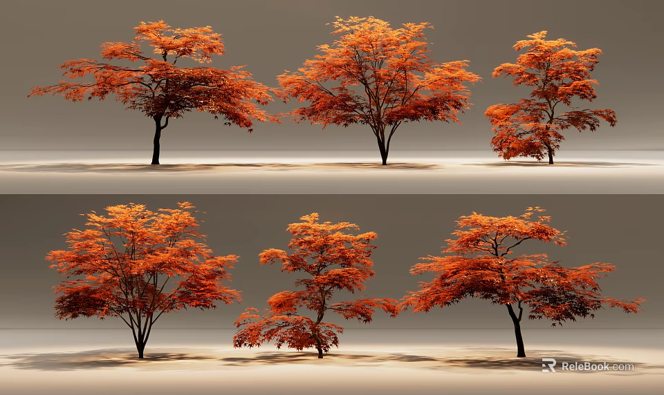Multiple Arbor Trees With Vibrant Orange Red Autumn Leaves And Shady Canopy 3d model 
